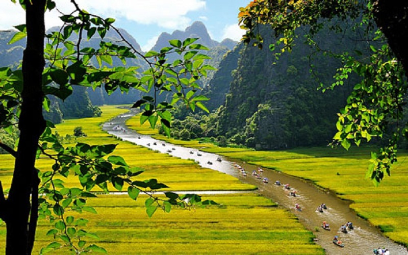 Cuối tháng 5, đầu tháng 6 - Thời điểm lý tưởng đi Tam Cốc - Bích Động